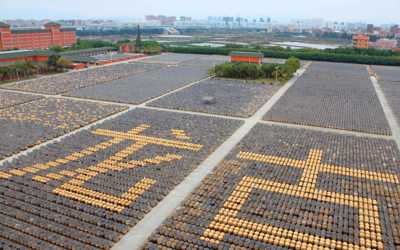 以創(chuàng)意賦能 展國(guó)企風(fēng)貌 廈門輕工集團(tuán)亮相第十七屆海峽旅游博覽會(huì),摘取兩項(xiàng)大獎(jiǎng)